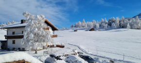 Haus Wiesenruh - amazing views & setting
